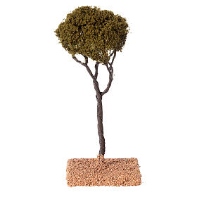 Pino marittimo H 12 cm presepe 4/6 cm