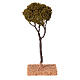 Maritime pine tree H 12 cm nativity 4/6 cm s2