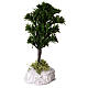 Miniature green tree with plaster base nativity 8/10 cm s1