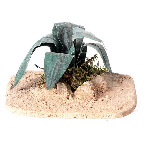Aloe nel deserto presepe 18/30 cm 1