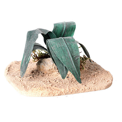 Aloe nel deserto presepe 18/30 cm 3