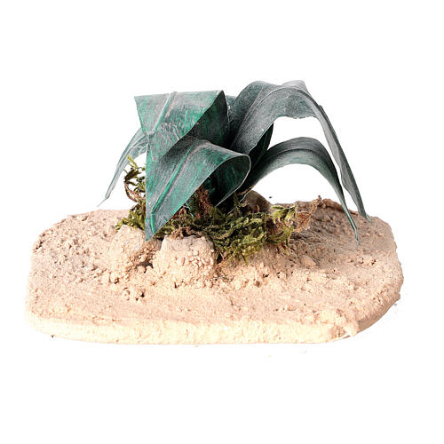 Aloe nel deserto presepe 18/30 cm 4