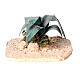 Aloe nel deserto presepe 18/30 cm s4