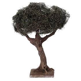 Árbol olivo simple para belén napolitano 6-8 cm altura real 15 cm