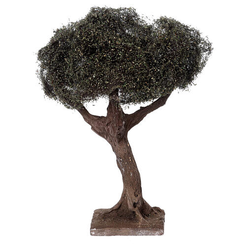 Árbol olivo simple para belén napolitano 6-8 cm altura real 15 cm 1