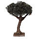 Drzewo oliwne proste miniatura do szopki neapolitańskiej 6-8 cm, h rzeczywista 15 cm s4