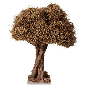 Curved olive tree for Neapolitan Nativity Scene with 8-10 cm characters, real height 20 cm