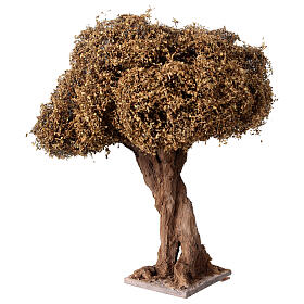 Curved olive tree for Neapolitan Nativity Scene with 8-10 cm characters, real height 20 cm