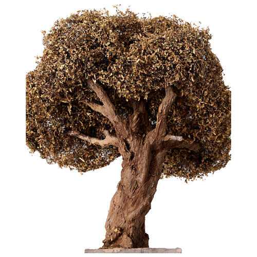 Curved olive tree for Neapolitan Nativity Scene with 8-10 cm characters, real height 20 cm 3