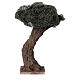 Curved olive tree for Neapolitan Nativity Scene with 6-8 cm characters, real height 20 cm s1