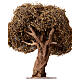 Curved olive tree for Neapolitan Nativity Scene with 8-10 cm characters, real height 20 cm s3