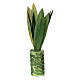 Agave pianta per presepe napoletano 6-8 cm h reale 16 cm s3