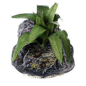 Agave plant with rock for Neapolitan Nativity Scene with 8-10 cm characters, real height 10 cm