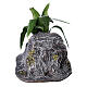 Agave plant with rock for Neapolitan Nativity Scene with 8-10 cm characters, real height 10 cm s4