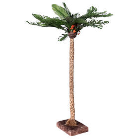 Neapolitanische Krippe Palme 10-12 cm echte Höhe, 45 cm