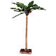 Palmeira em miniatura para presépio napolitano com figuras altura média 10-12 cm; altura real: 45 cm s1