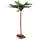 Palmeira em miniatura para presépio napolitano com figuras altura média 10-12 cm; altura real: 45 cm s2