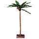 Palmeira em miniatura para presépio napolitano com figuras altura média 10-12 cm; altura real: 45 cm s4