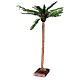 Palm tree for Neapolitan nativity scene 10-12 cm, real height 45 cm s3