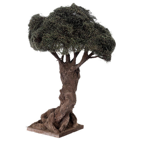 Albero ulivo lavorato presepe napoletano 8 cm altezza reale 25 cm 2