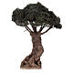 Albero ulivo lavorato presepe napoletano 8 cm altezza reale 25 cm s1