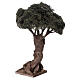 Albero ulivo lavorato presepe napoletano 8 cm altezza reale 25 cm s2