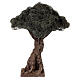 Albero ulivo lavorato presepe napoletano 8 cm altezza reale 25 cm s3