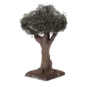 Einfacher Olivenbaum für neapolitanische Krippe 4-6 cm echte Höhe, 10 cm