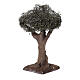 Einfacher Olivenbaum für neapolitanische Krippe 4-6 cm echte Höhe, 10 cm s2