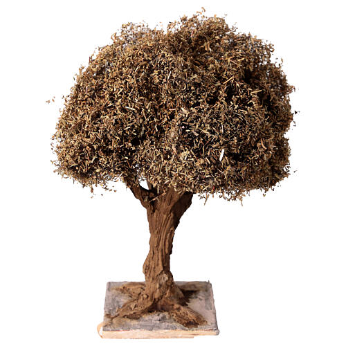 Árbol olivo simple para belén napolitano 4-6 cm altura real 10 cm 1