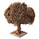 Árbol olivo simple para belén napolitano 4-6 cm altura real 10 cm s2