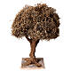 Albero ulivo semplice per presepe napoletano 4-6 cm altezza reale 10 cm s1
