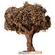 Albero ulivo semplice per presepe napoletano 4-6 cm altezza reale 10 cm s3