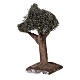 Drzewo oliwne proste miniatura do szopki neapolitańskiej 4-6 cm, h rzeczywista 10 cm s3