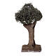 Plain olive tree figurine for 4-6 cm Neapolitan nativity real height 10 cm s1
