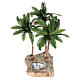 Palme a tre con oasi per presepe napoletano da 8-10 cm altezza reale 38 cm s2