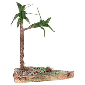 Planta de yucca miniatura presépio napolitano com figuras altura média 8 cm; altura real: 24 cm