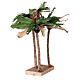 Três palmeiras miniatura presépio napolitano com figuras altura média 8-10 cm; altura real: 35 cm s3
