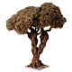 Complex olive tree for Neapolitan Nativity Scene with 12-14-16 cm characters, real height 35 cm s4