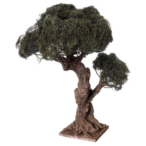 Árbol de olivo ramificado para belén napolitano de 8-10 cm altura 35 cm 3