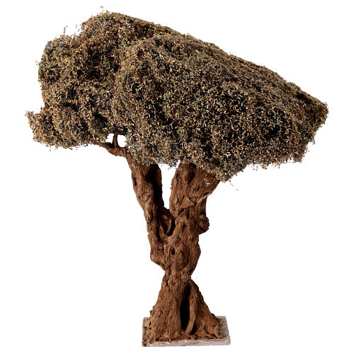 Árbol de olivo ramificado para belén napolitano de 8-10 cm altura 35 cm 5