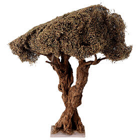 Albero di ulivo ramificato per presepe napoletano da 8-10 cm altezza 35 cm