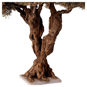 Albero di ulivo ramificato per presepe napoletano da 8-10 cm altezza 35 cm