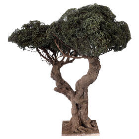 Olive tree with two main branches for Neapolitan Nativity Scene with 14-20 cm characters, real height 45 cm