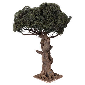Drzewo oliwne rozgałęzione w miniaturze do szopki neapolitańskiej 8-10 cm, h 45 cm