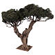 Drzewo oliwne rozgałęzione w miniaturze do szopki neapolitańskiej 8-10 cm, h 45 cm s3