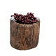 Wooden vat with white grapes, 4 cm DIY nativity scene s3