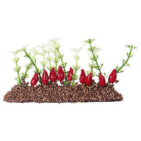 Paprikapflanzen in Reihe, 6x13x3 cm, für 14-16 cm Krippe
