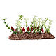 Row of peppers 12 cm for Nativity Scene with 14-16 cm characters s3