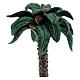 Set of palms 2pcs for 25 cm nativity scene s2